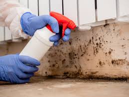 Best Air Quality Testing for Mold Spores in Hidalgo, TX